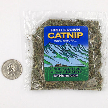 Mini Chibi Swamp Creature™ Money-Green Cat Toy + Refillable Beltway Bud Catnip